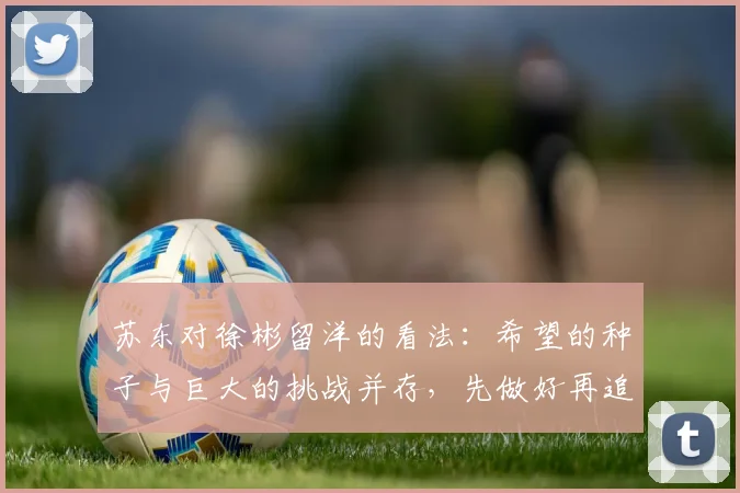苏东对徐彬留洋的看法：希望的种子与巨大的挑战并存，先做好再追求完美